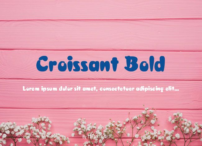 Croissant Bold example